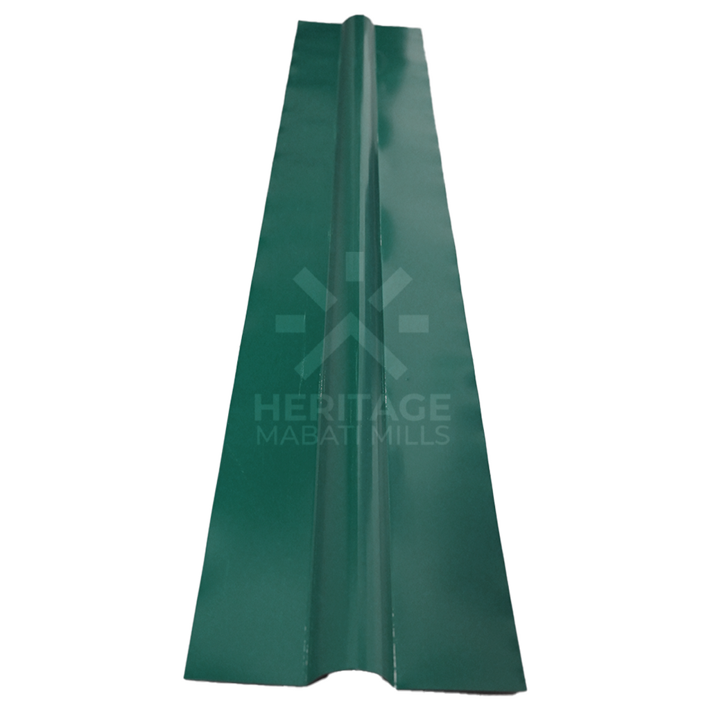Gutters and Flashings